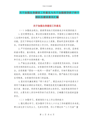 关于加强自身建设工作意见与关于加强领导班子和干部队伍建设意见汇编