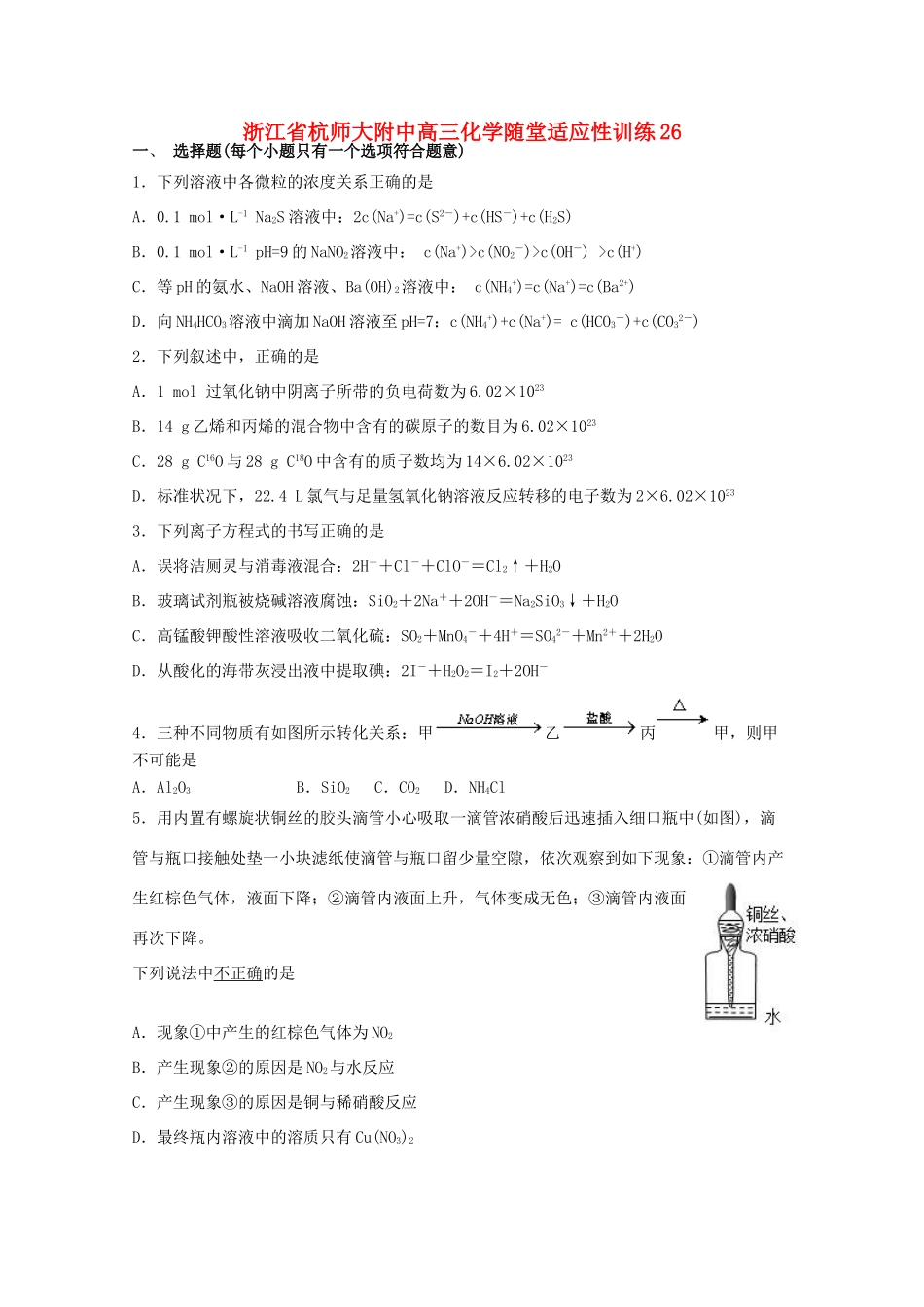 浙江省杭师大附中高三化学随堂适应性训练26_第1页