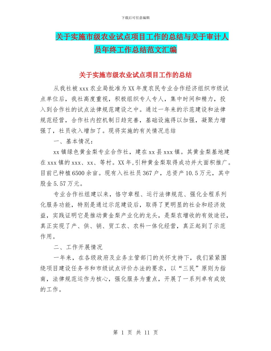 关于实施市级农业试点项目工作的总结与关于审计人员年终工作总结范文汇编_第1页