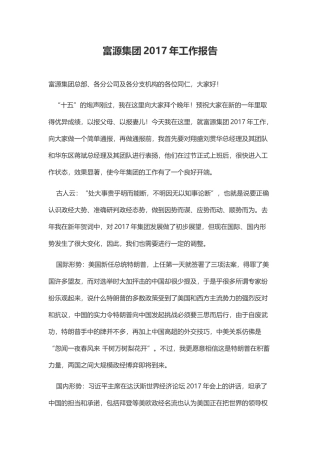 集团工作报告