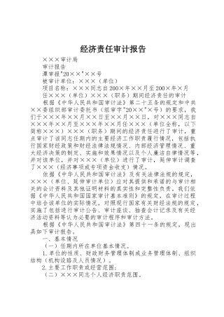 经济责任审计报告