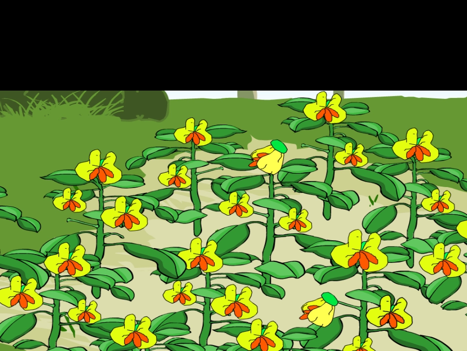 小松鼠找花生果课件1_第3页