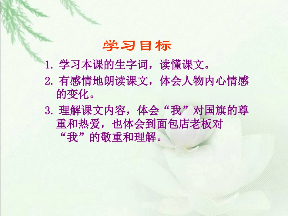 人教新课标三年级语文下册《一面五星红旗2》PPT课件_第2页