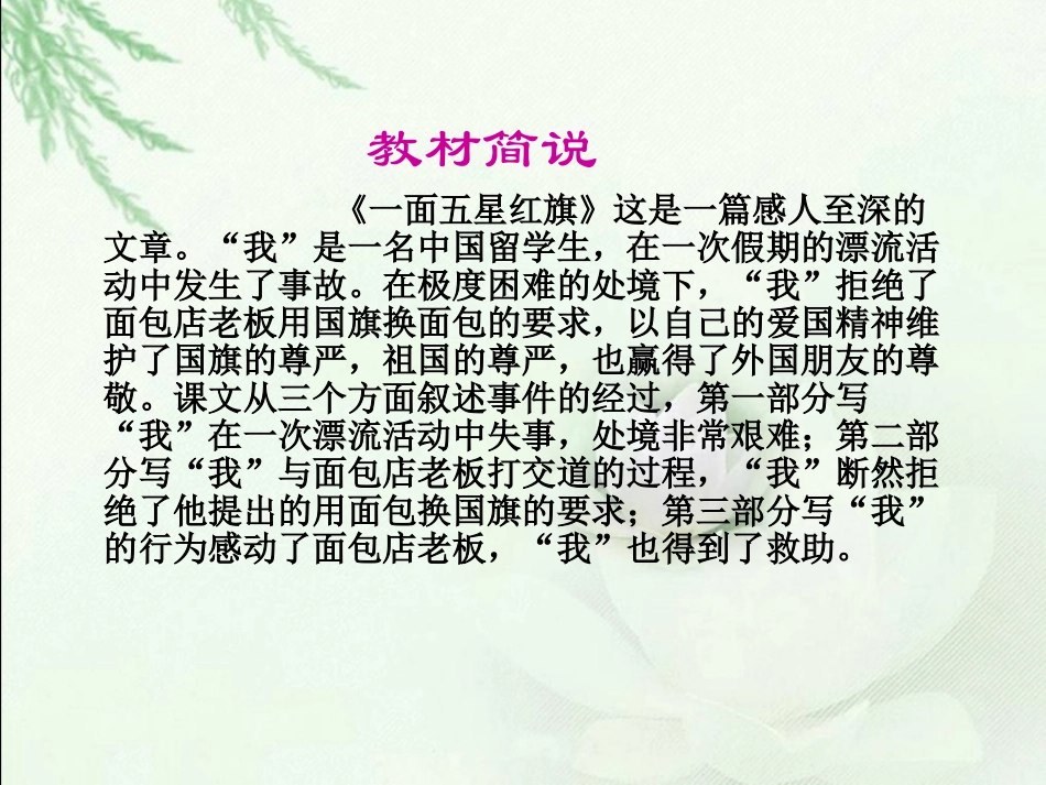 人教新课标三年级语文下册《一面五星红旗2》PPT课件_第3页