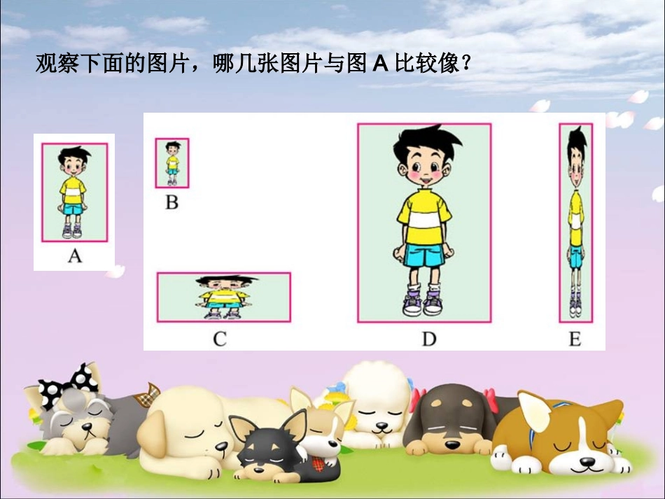 北师大版数学六年级上册《生活中的比》PPT课件_第2页