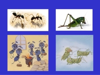 《蚂蚁和蝈蝈》