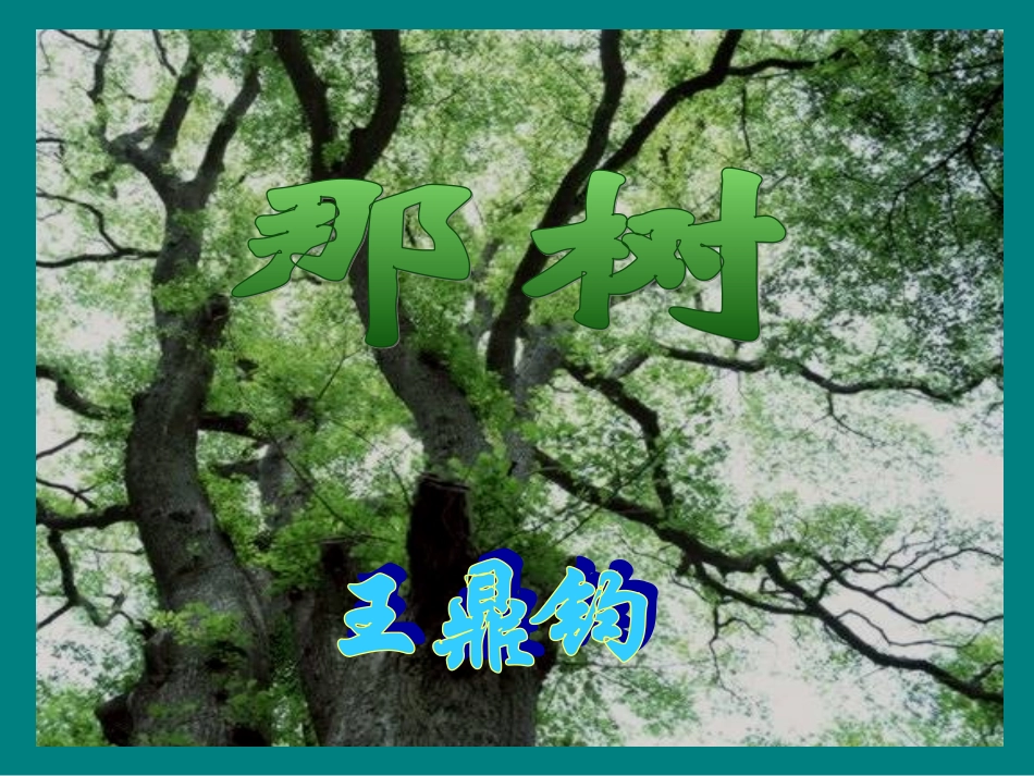 《那树》课件4_第2页