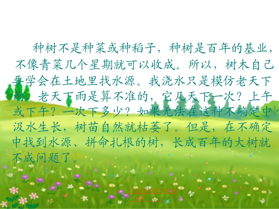 3《桃花心木》ppt精选_第2页