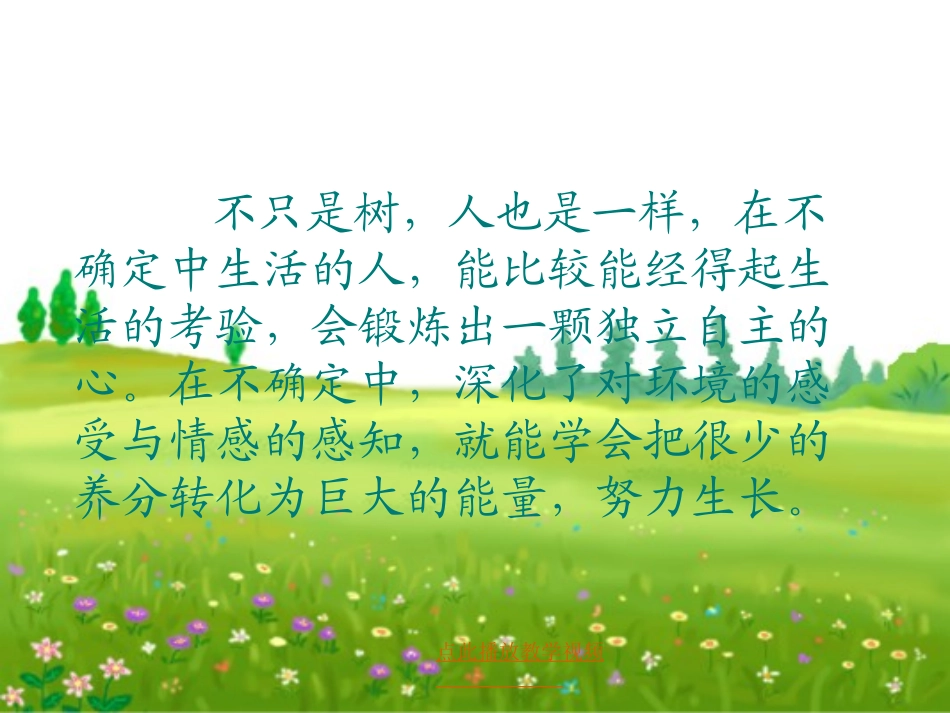 3《桃花心木》ppt精选_第3页
