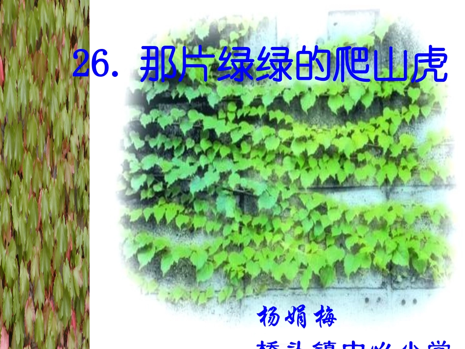 人教版小学四年级语文那片绿绿的爬山虎_第1页