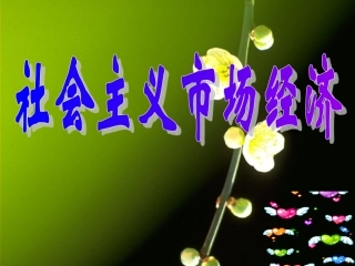 社会主义市场经济1