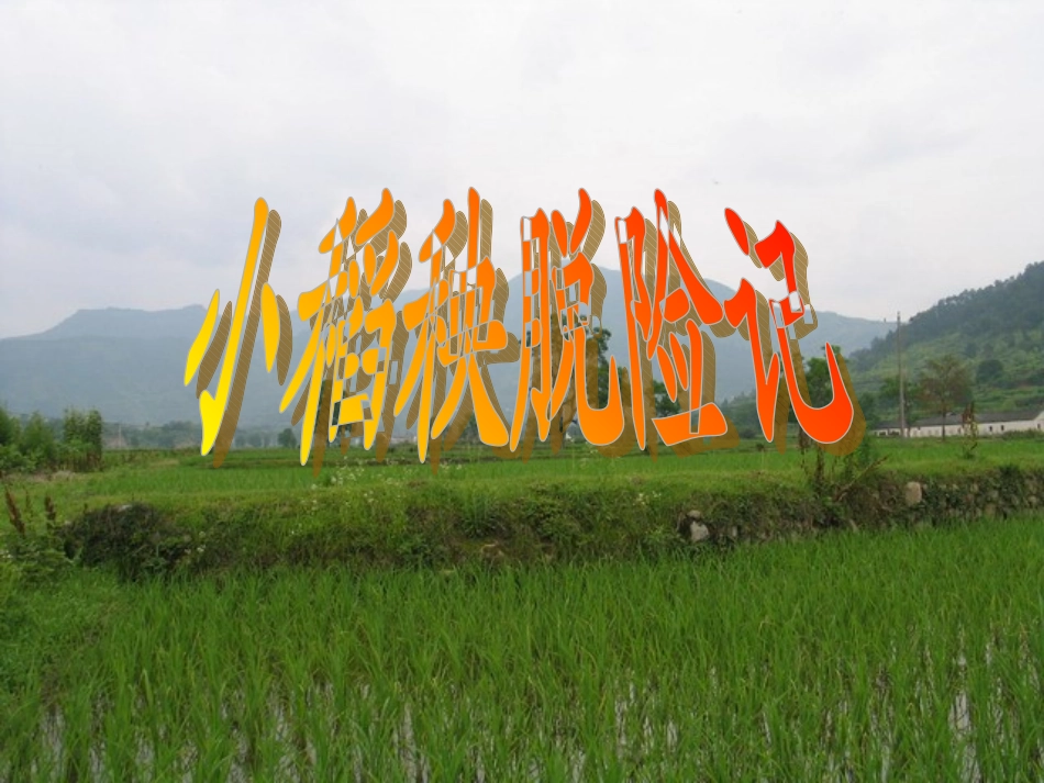 小稻秧脱险记-(2)_第1页