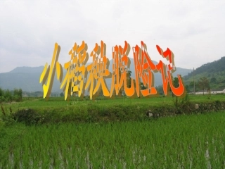 小稻秧脱险记-(2)