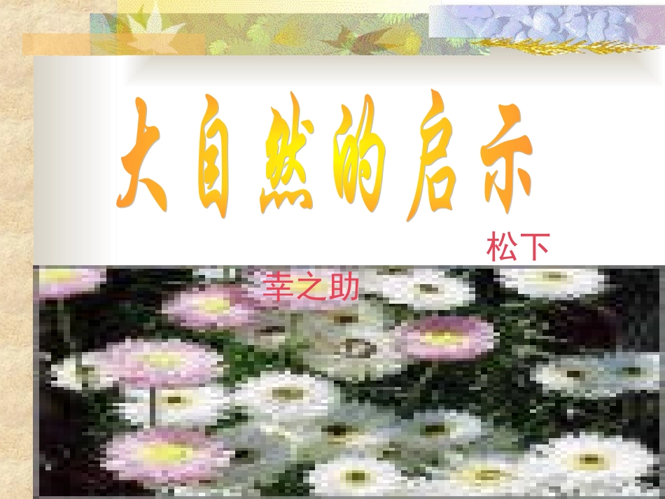 大自然的启示-(2)_第1页