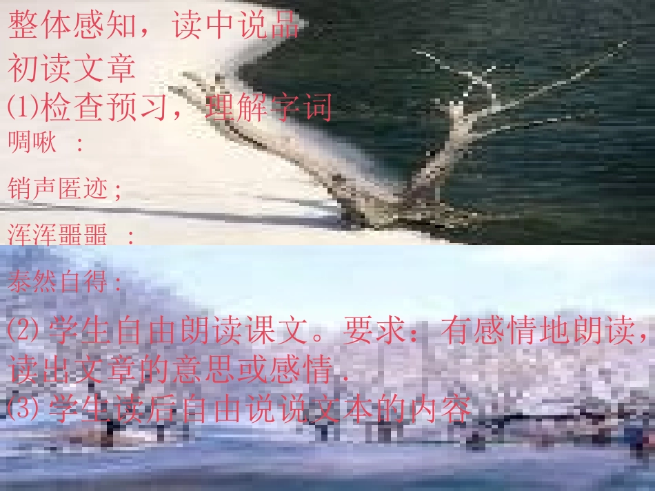 大自然的启示-(2)_第3页