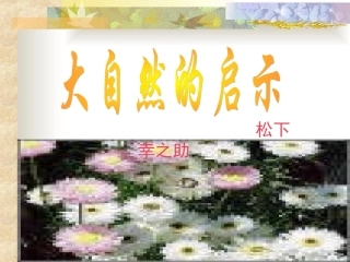 大自然的启示-(2)