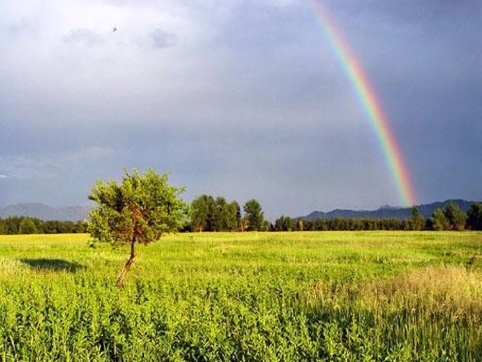 《雨后》课件4_第1页