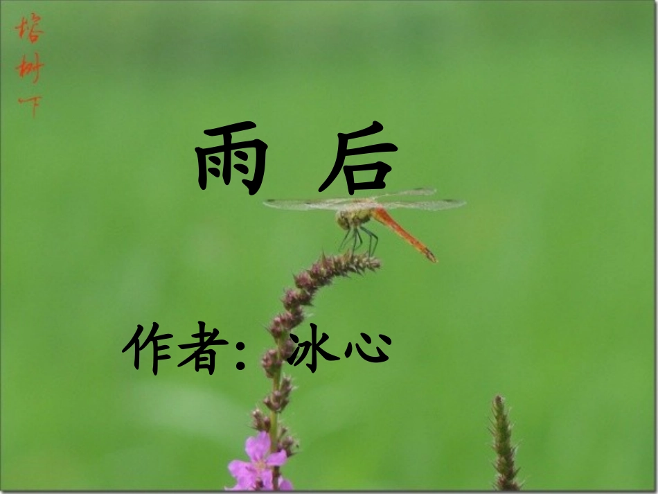 《雨后》课件4_第2页