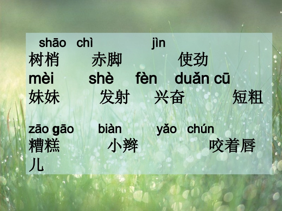 《雨后》课件4_第3页