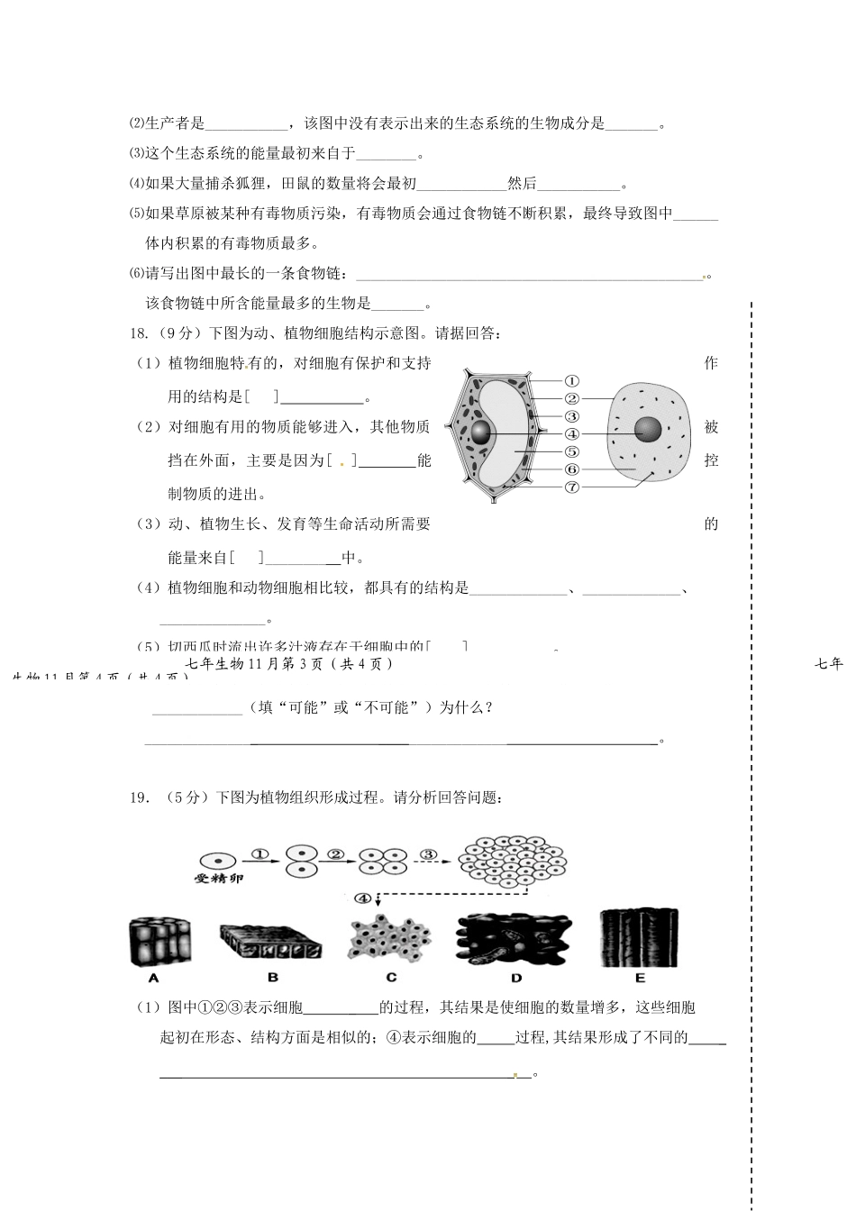 大石桥市一中2015--2016年上学期七年级生物期中试卷及答案_第3页