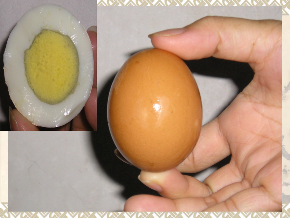 1.4-地球的圈层结构-ppt课件1--高中地理-新人教版-必修1_第3页