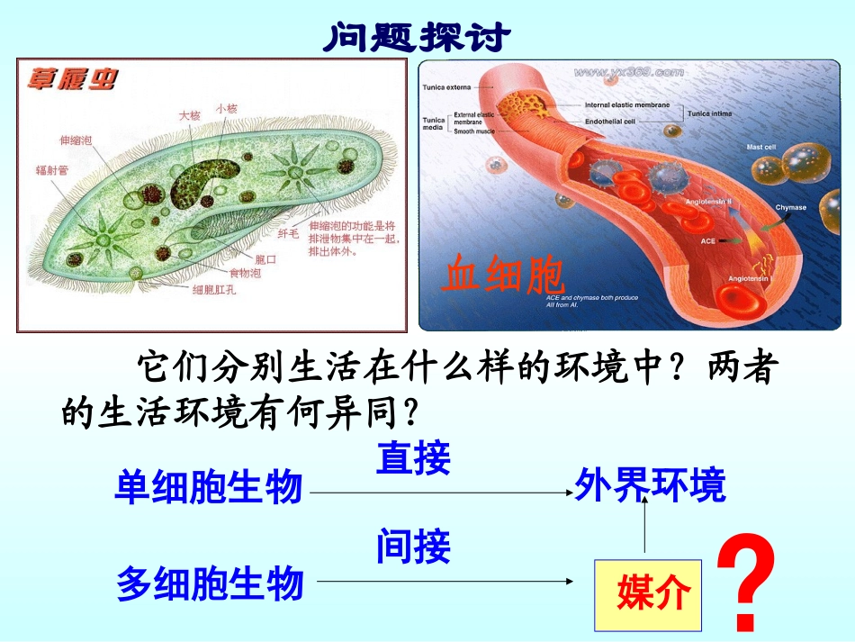 人教版必修3第一章第一节细胞生活的环境_第3页