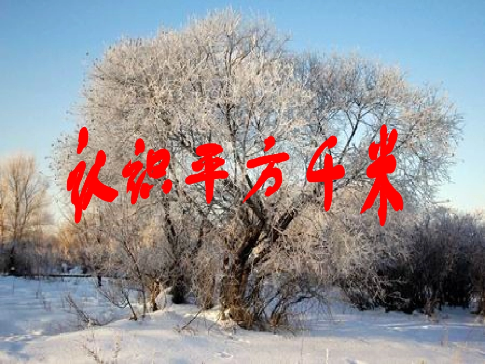 认识平方千米_第1页