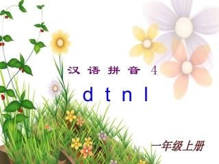 dtnl-(3)