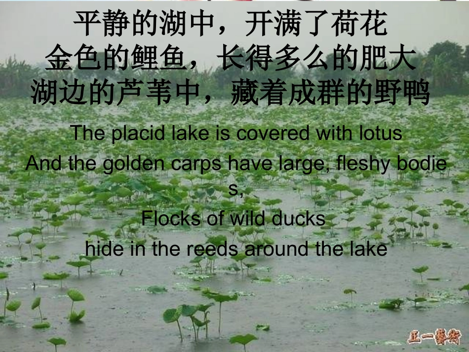 人教版音乐九下《我们的田野》课件[www1kejiancom]_第3页