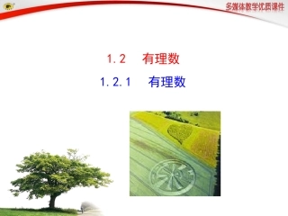 1.2.1-有理数.2.1-有理数