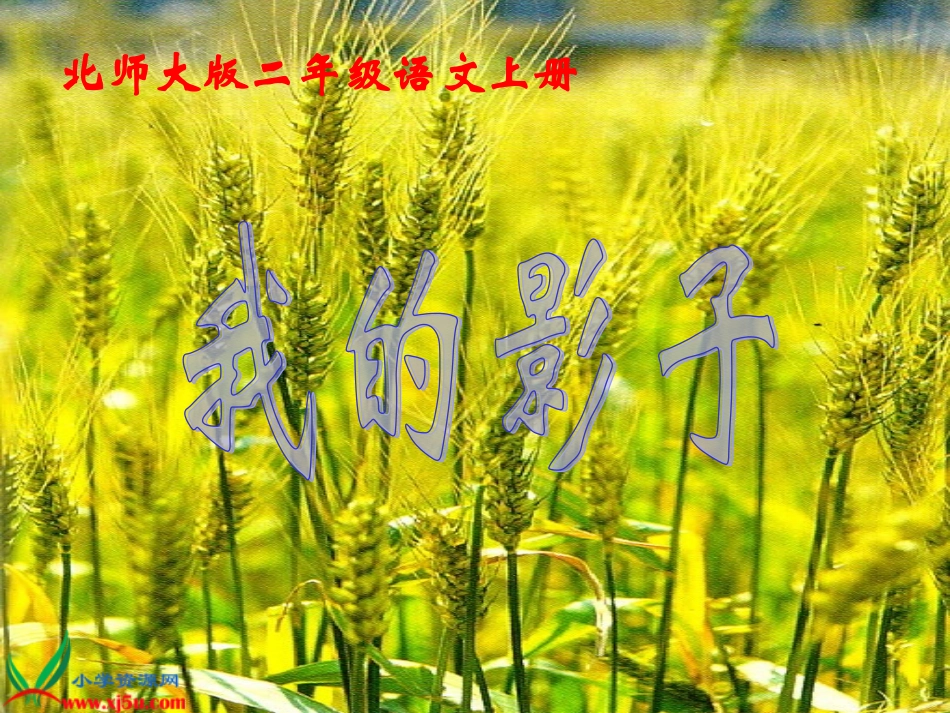 北师大版二年级语文上册《我的影子》PPT课件---副本_第1页
