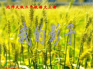 北师大版二年级语文上册《我的影子》PPT课件---副本