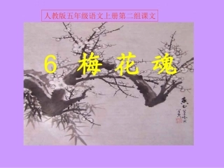 人教版五年级语文上册第二组《06梅花魂》PPT课件-(2)