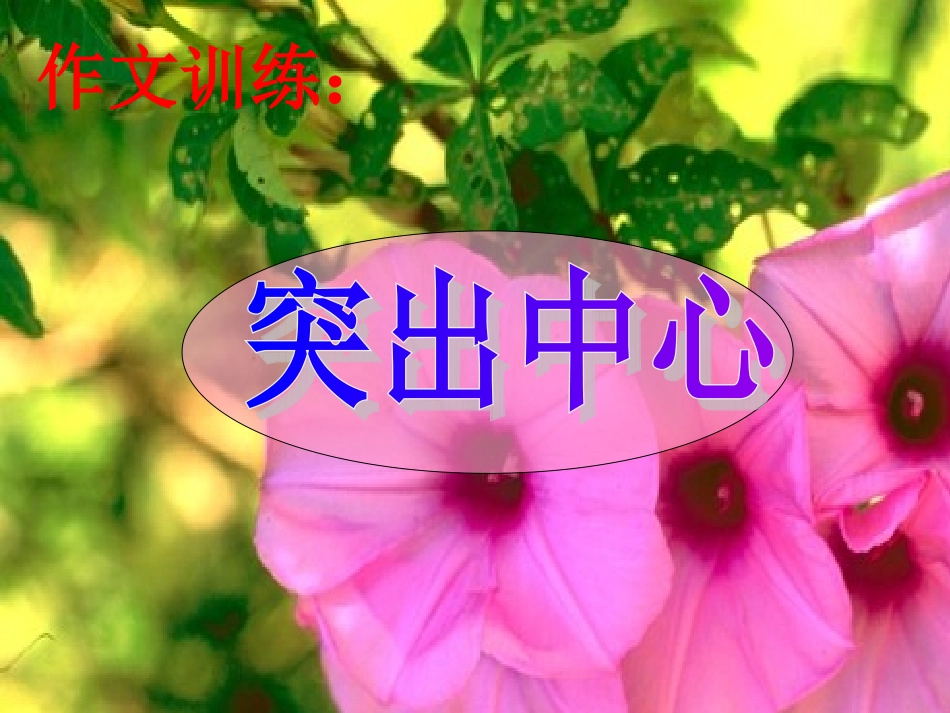写作训练《突出中心》PPT_第1页