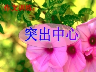 写作训练《突出中心》PPT