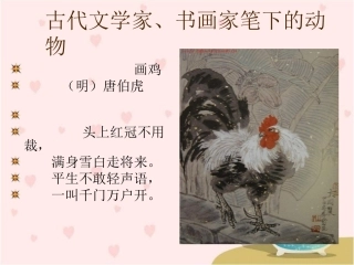 《白鹅》教学演示课件