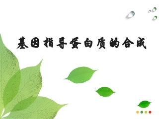 人教版必修2第四章第一节基因的表达--基因指导蛋白质的合成(共27张PPT)