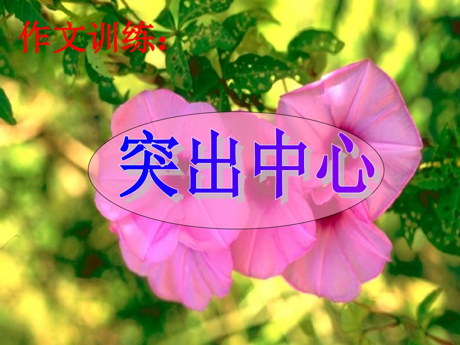 写作训练《突出中心》_第1页