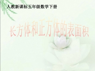 人教新课标数学五年级下册《长方体和正方体的表面积-4》PPT课件1
