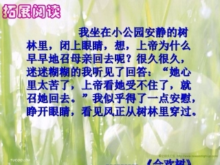 秋天的怀念-(3)