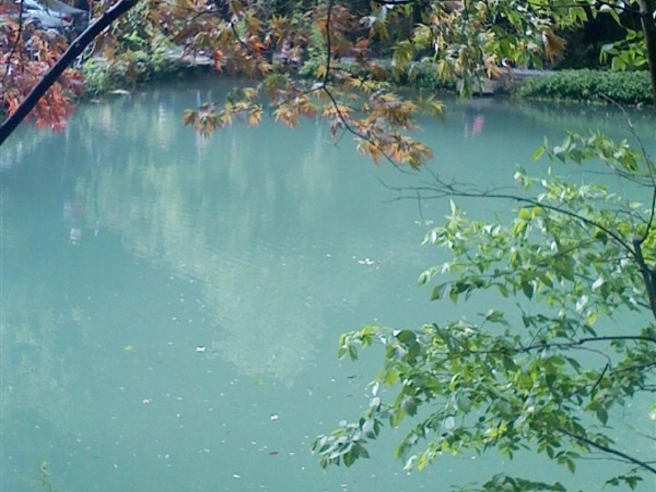 《植物体的结构层次》_第1页