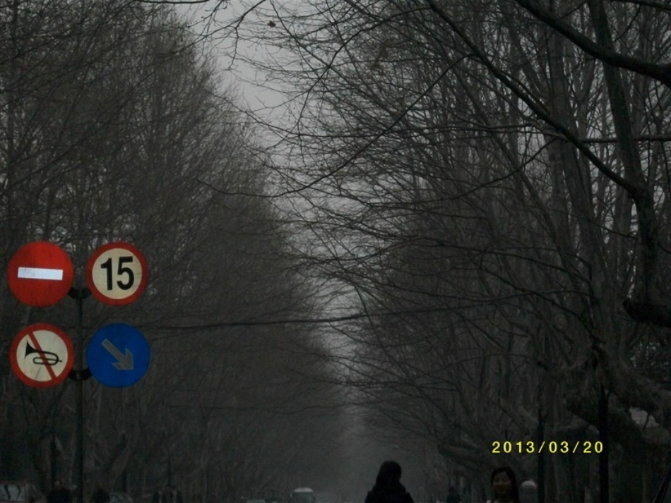 《植物体的结构层次》_第3页