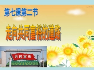 走向共同富裕的道路111