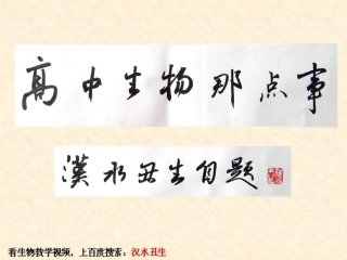 非常好生命活动的主要承担者——蛋白质
