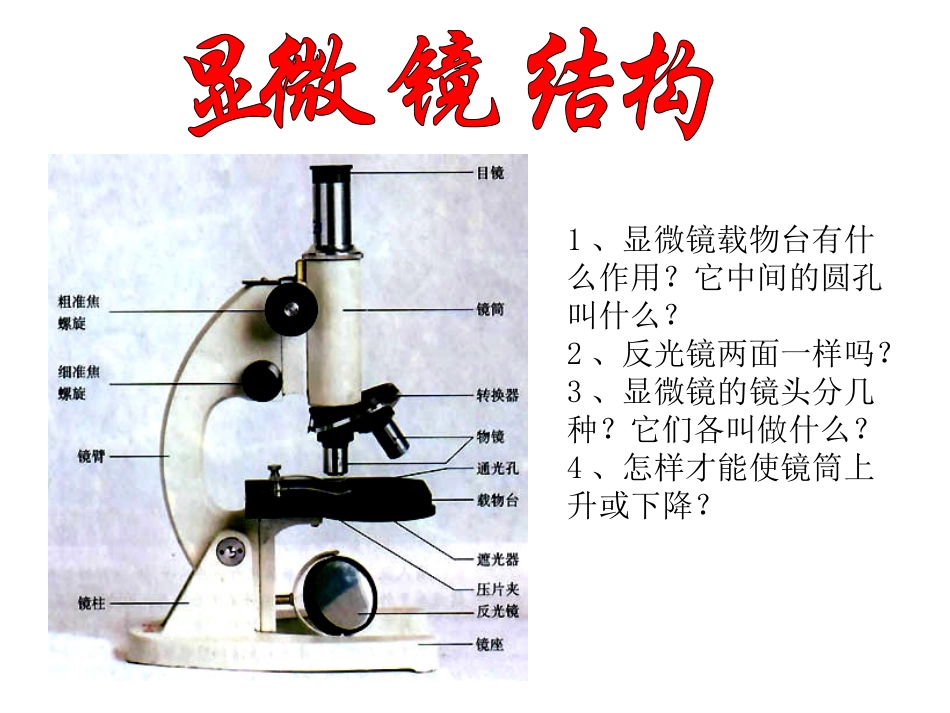 练习细使用显微镜1_第2页