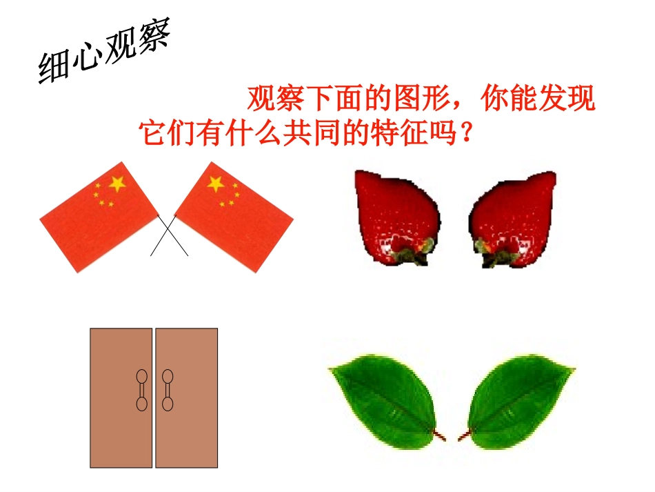 5.1轴对称现象-(4)_第2页