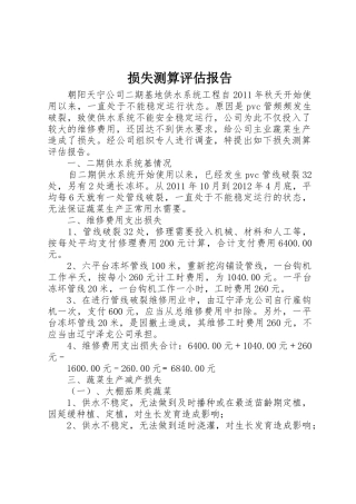 损失测算评估报告