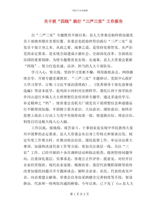 关于抓“四线”践行“三严三实”工作报告