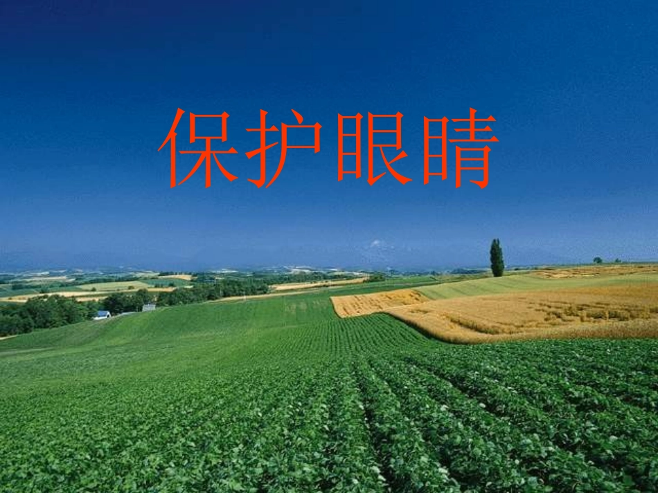 保护眼睛(2)_第1页