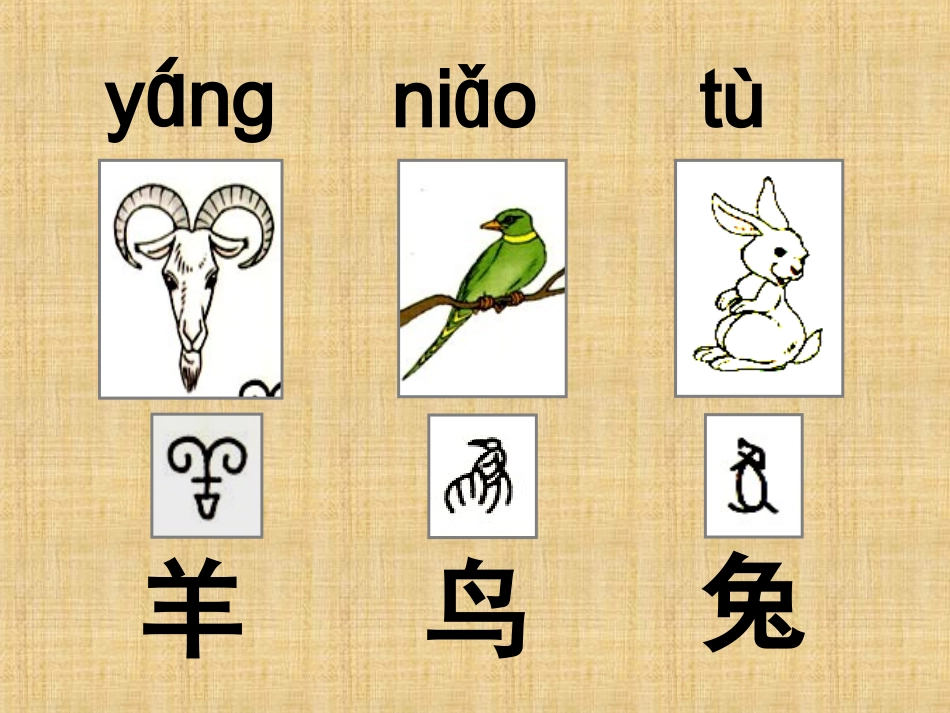 人教版一年级上册识字一第2课《口耳目》多媒体课件-(2)_第3页